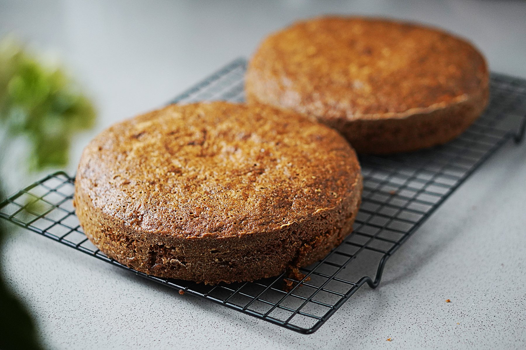 Two freshly baked cakes on a cooling rack