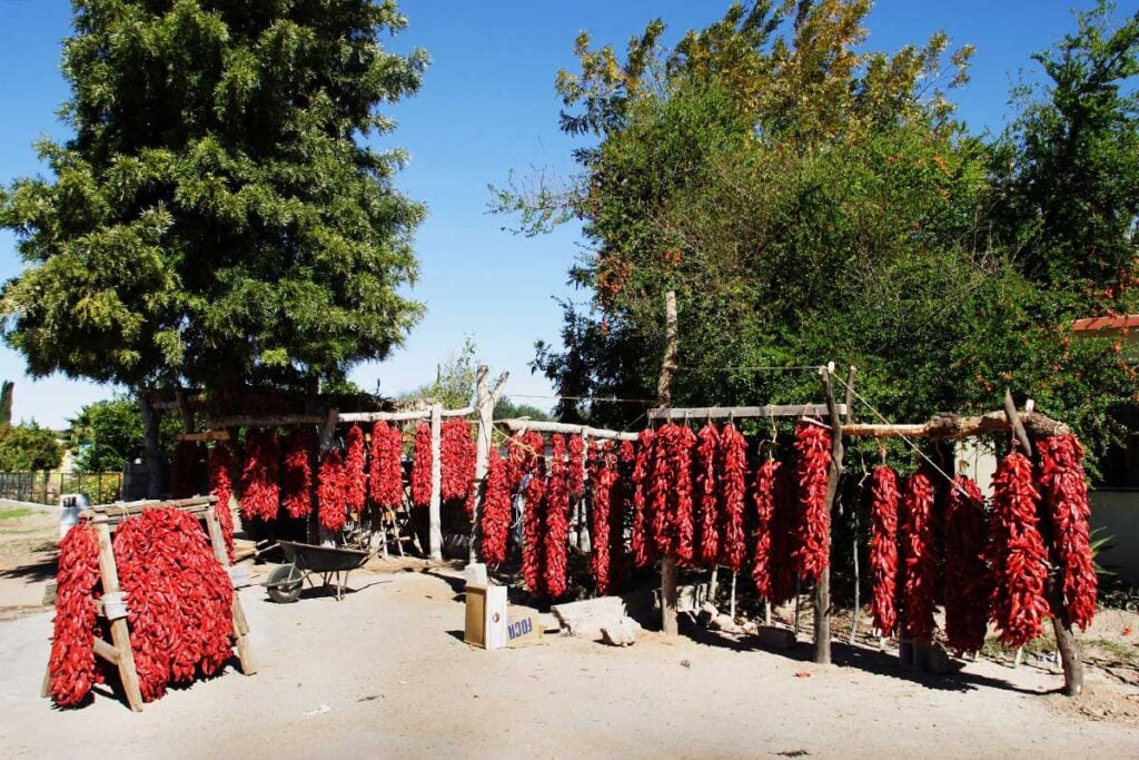 Dried red chiles hung in a string outdoors