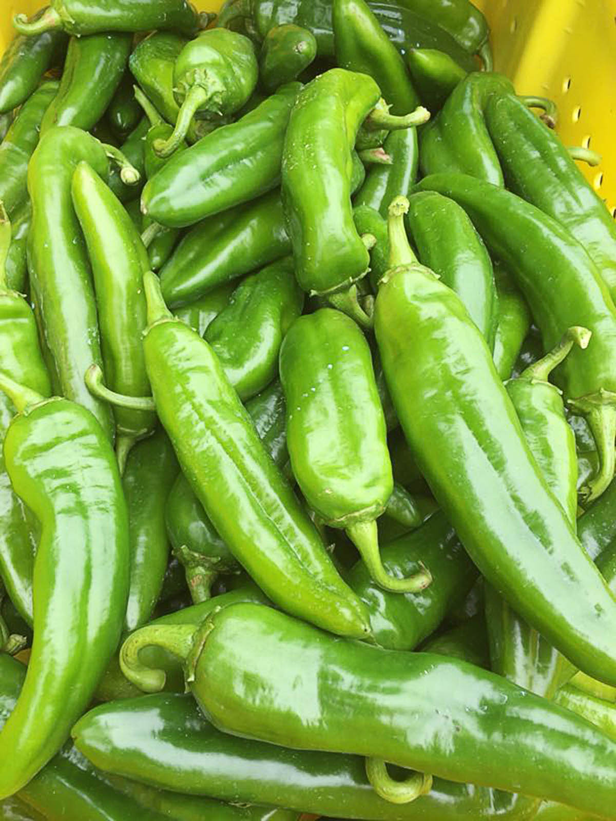 A stack of fresh anaheim peppers.