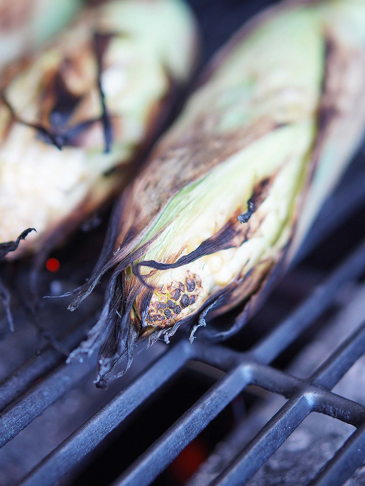 Two grilled corn on the cob with charred husk on the grill.