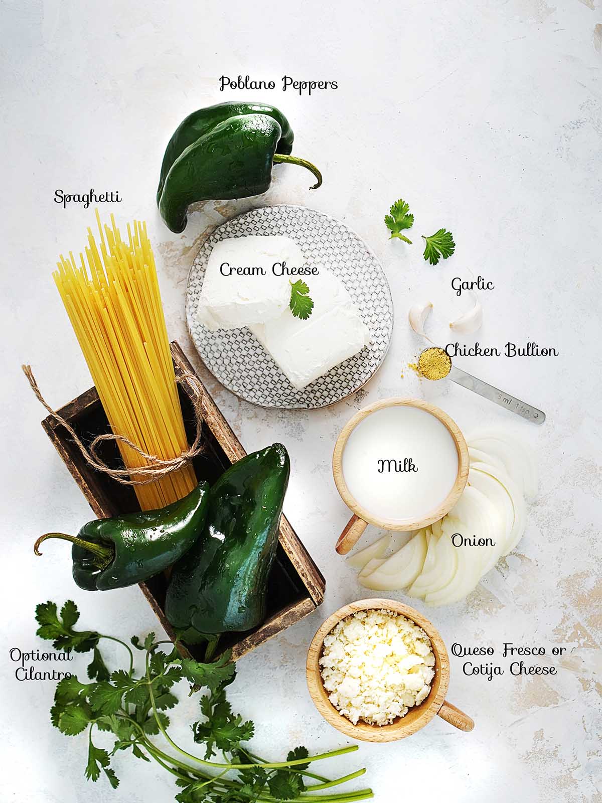 The ingredients for this Espagueti Verde recipe placed on a white background. .
