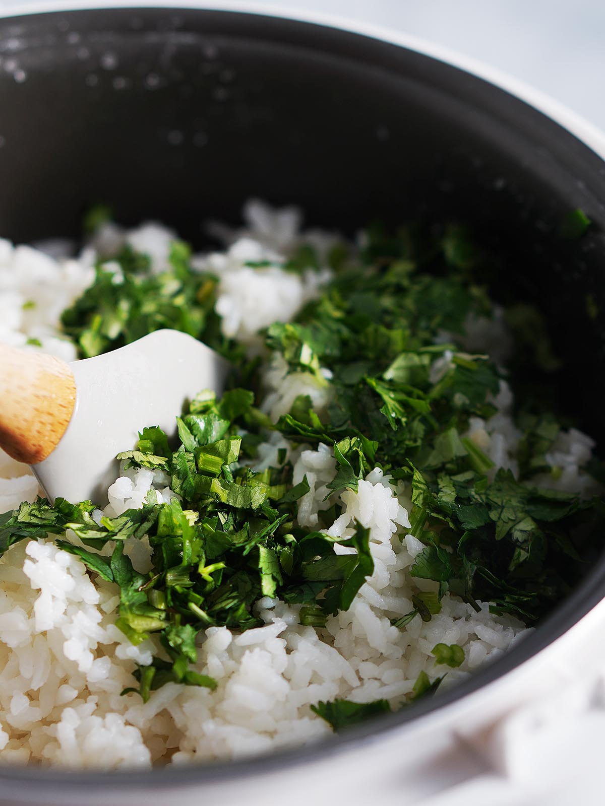 Mixing chopped cilantro into cooked white rice.