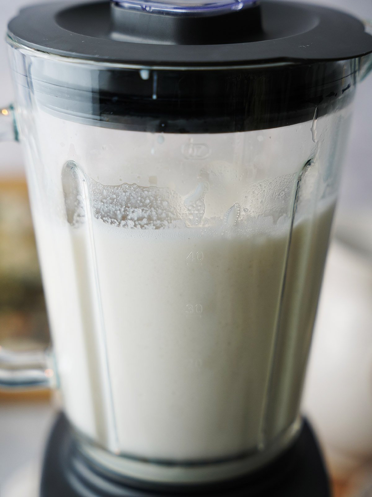 A blender's cup with the rice and milk mixture.