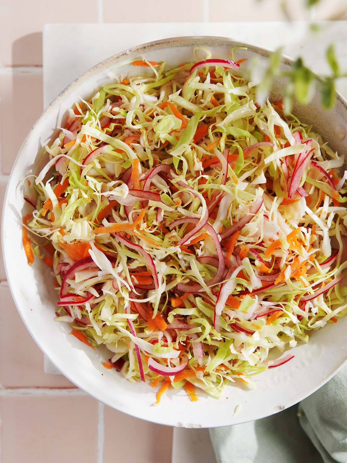 A bowl of curtido featuring shredded cabbage, julienned carrots, and sliced red onions.